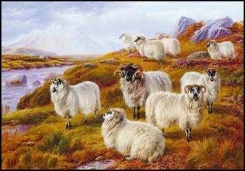 unknow artist Sheep 063 oil painting image